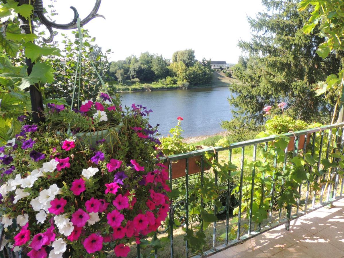 Le Jardin Des Cygnes Bed & Breakfast Pineuilh Exterior photo